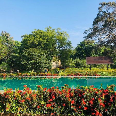Lolu Village Resort Anuradhapura Εξωτερικό φωτογραφία