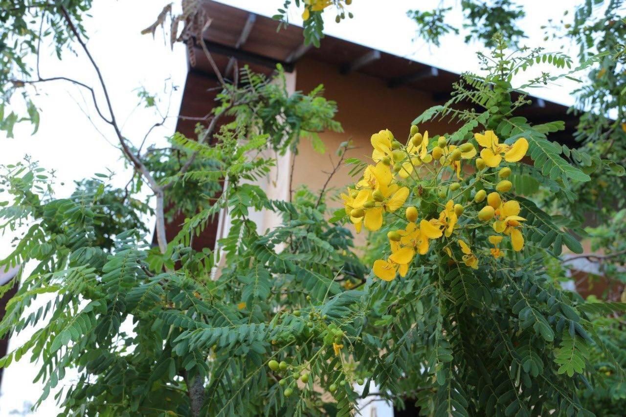 Lolu Village Resort Anuradhapura Εξωτερικό φωτογραφία